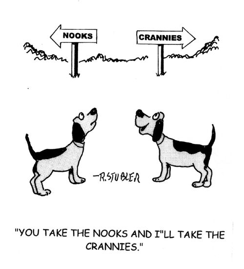 'You take the nooks and I'll take the crannies.'