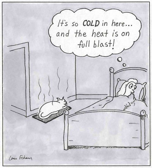 'It's so cold in here, and the heat is on full blast!'