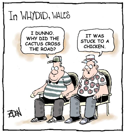In Whydid, Wales...I dunno. Why did the cactus cross the road? It was stuck to a chicken. 