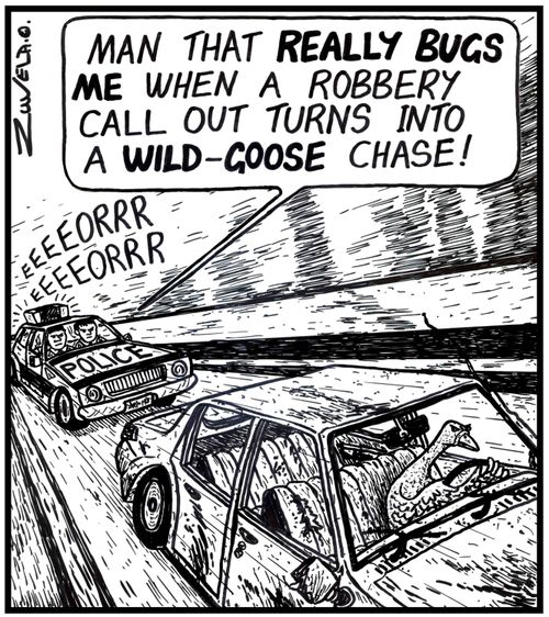 'Man that REALLY BUGS ME when a robbery call out turns into a WILD-GOOSE chase!' (Police chasing a goose driving a car).