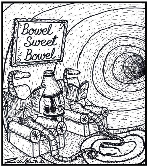 Bowel Sweet Bowel.