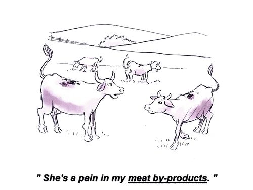 'She's a pain in my meat by-products.'
