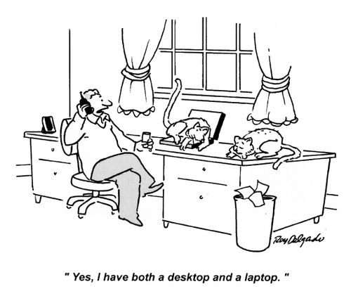 'Yes, I have both a desktop and a laptop.'