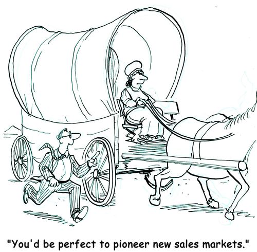 'You'd be perfect to pioneer new sales markets.'