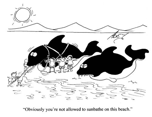 'Obviously you're not allowed to sunbathe on this beach.'