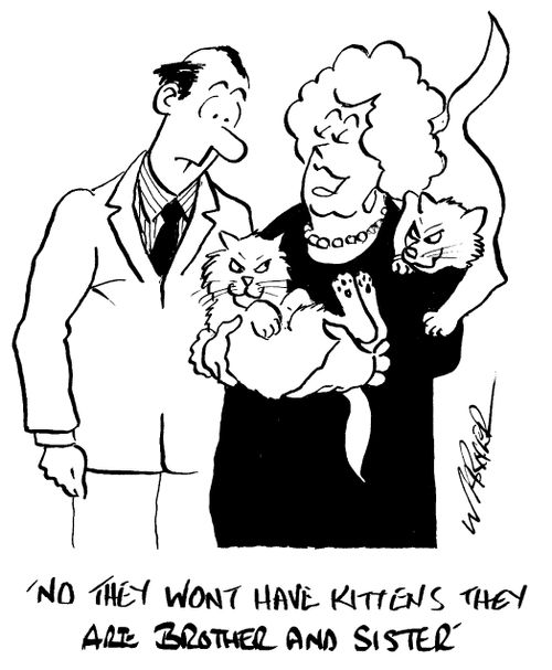 'No, they won't have kittens. They are brother and sister.'