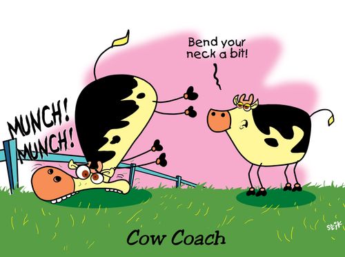 COWS: Cow Coach