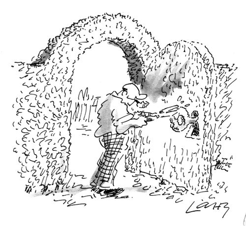 Hedgecutter cutting a hedge 'key' into a hedge 'door'