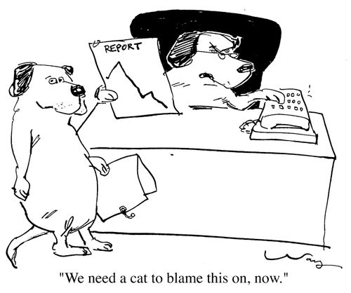 "We need a cat to blame this on, now"