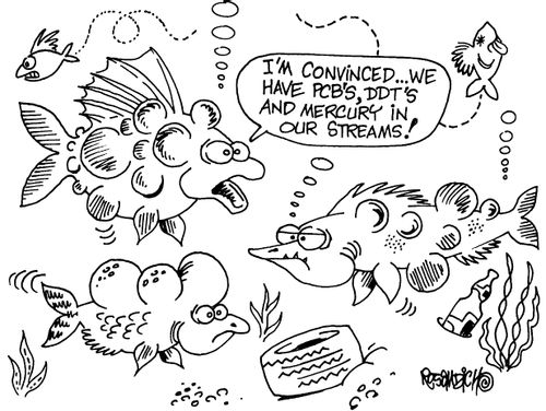 "I'm convinced ... we have PCB's, DDT's and mercury our streams!"