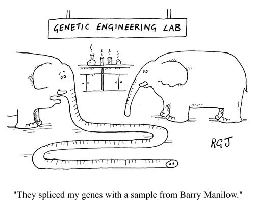Genetic Engineering Lab: Spliced my genes with Barry Manilow