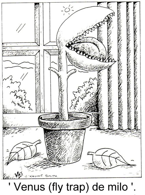 Venus fly trap.