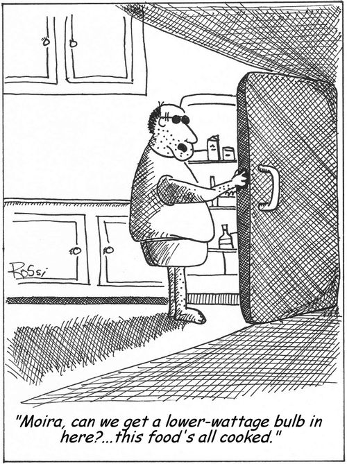 High wattage refrigerator bulb cooks food - "Moira, can we get a lower-wattage bulb in here?...this food's all cooked."