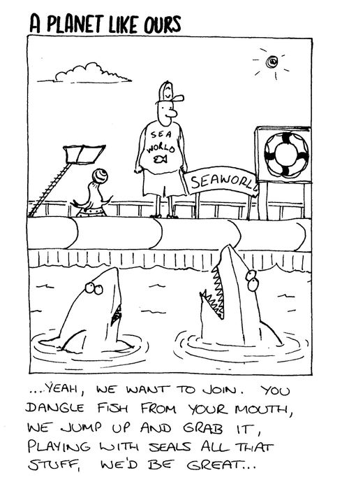A planet like ours - seaworld great whites.