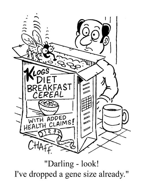 'Darling - look! I've dropped a gene size already.'