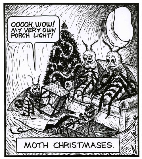 Moth Christmases.
