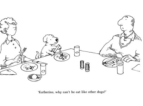 'Katherine, why can't he eat like the other dogs?'