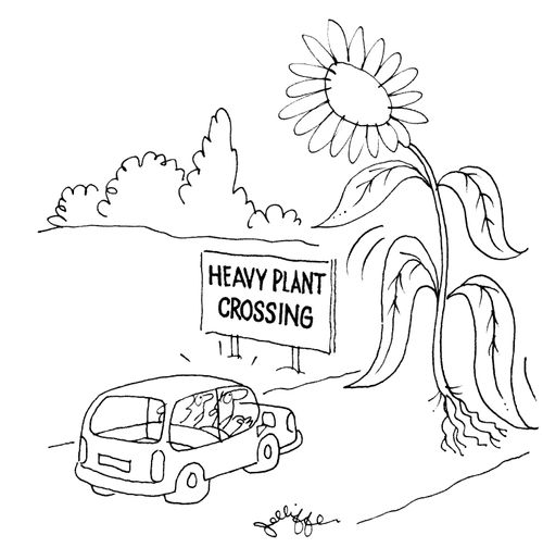 Heavy Plant Crossing.