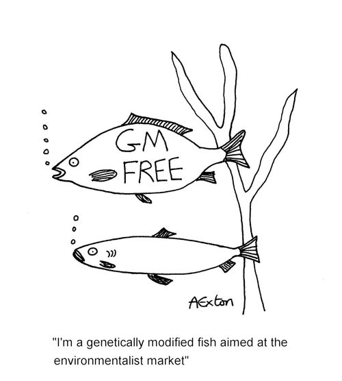 'I'm a genetically modified fish aimed at the environmentalist market.'