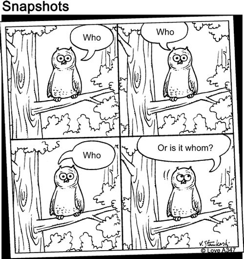 "Who. Who. Who. Or is it Whom?"