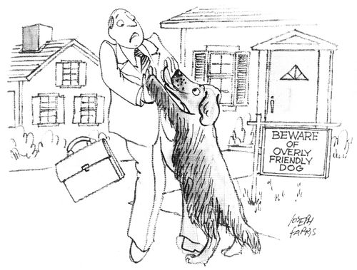 Beware of the Overly Friendly Dog.