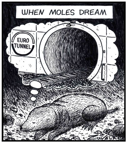 When moles dream...