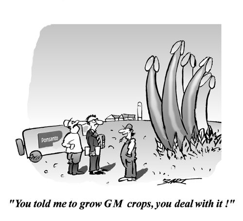 "You told me to grow GM crops, you deal with it!"