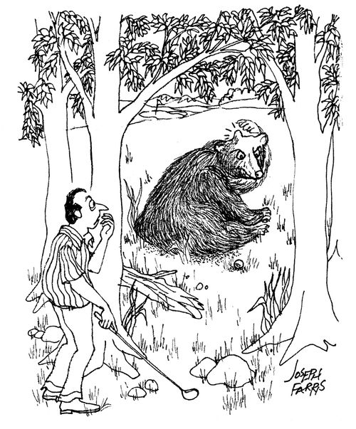 Bear Angry with Golfer.
