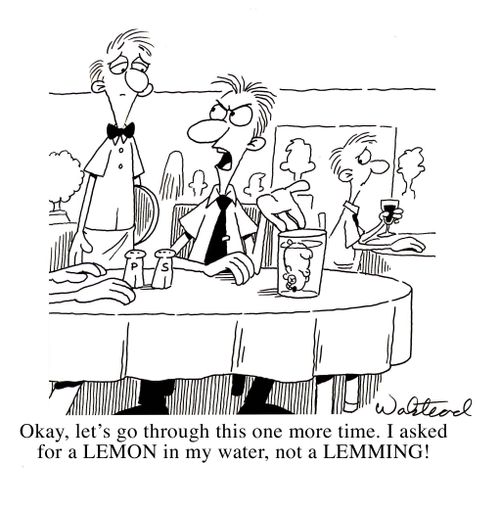 "Okay,let's go through this one more time. I asked for a LEMON in my water, not a LEMMING."