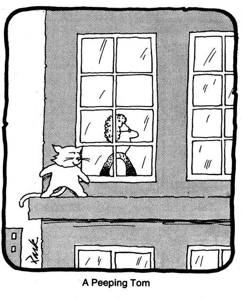 A peeping Tom.