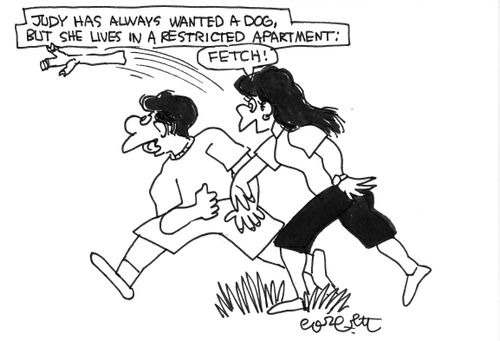Judy has always wanted a dog, but she lives in a restricted apartment.