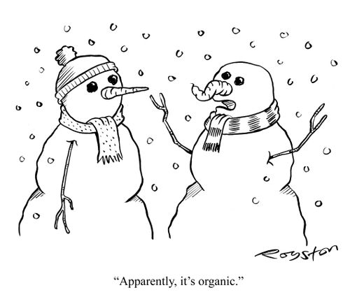 Snowman has twisted, wonky carrot nose: 'Apparently, it's organic.'