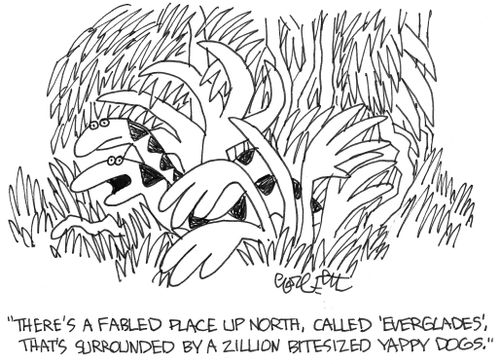 'There's a fabled place up north called,'Everglades', that's surrounded by a zillion yappy dogs.'