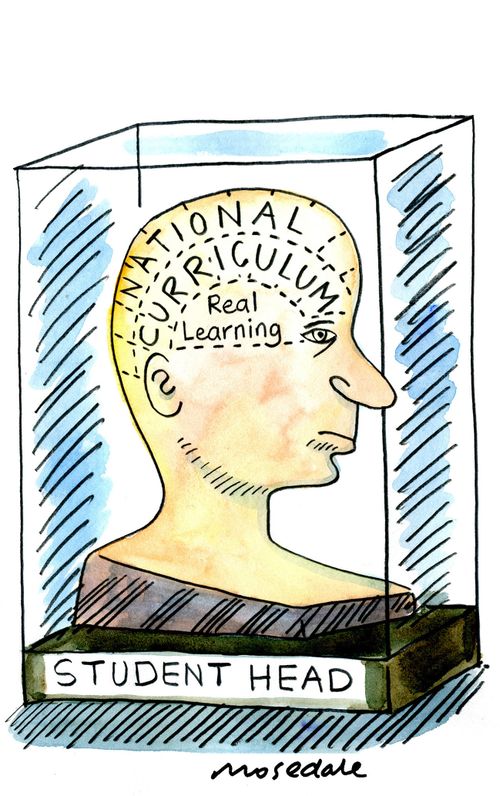 Phrenology head filled with National Curriculum instead of  real knowledge.