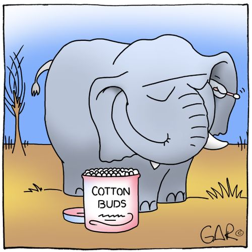 Elephant with cotton buds.