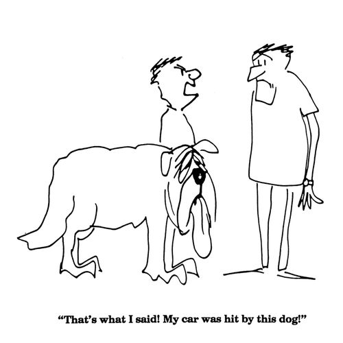 'That's what I said!  My car was hit by this dog!'