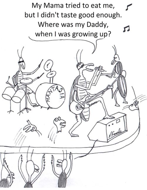 Praying mantis rock band sings about dysfunctional family.