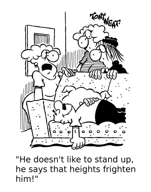 'He doesn't like to stand up, he says that heights frighten him!'