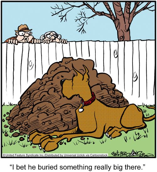 'I bet he buried something really big there.'