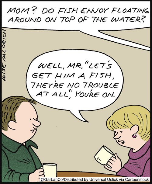 'Well, Mr. 'Let's get him a fish they're no trouble at all,' you're on.'