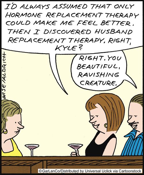 'I'd always assumed that only hormone replacement therapy could make me feel better. Then I discovered husband replacement therapy. . .'