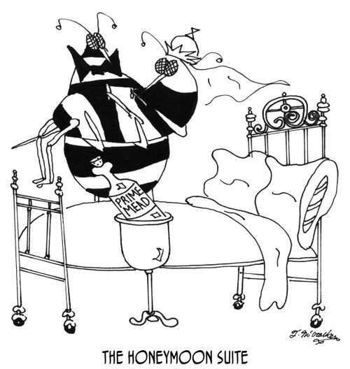 The Honeymoon Suite
