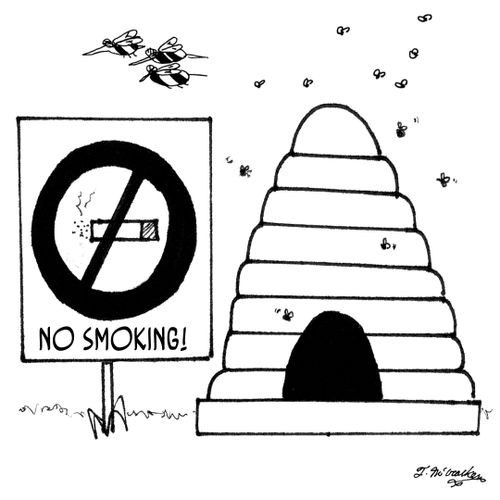 No Smoking sign next to a bee hive.