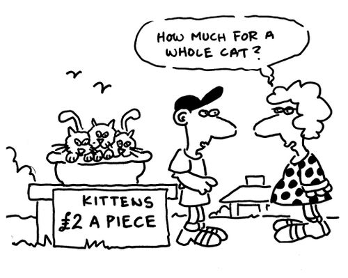 Kittens £2 a piece: 'How much for a whole cat?'