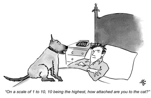 'On a scale of 1 to 10, 10 being the highest, how attached are you to the cat?'