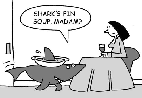 'Shark fin's soup madam.'