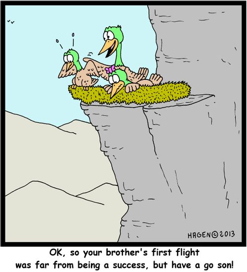 'OK, so your brother's first flight was far from being a success, but have a go son!'