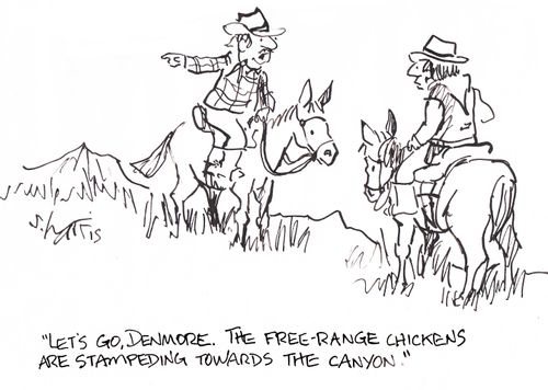 'Let's go, Denmore. The free-range chickens are stampeding towards the canyon.'