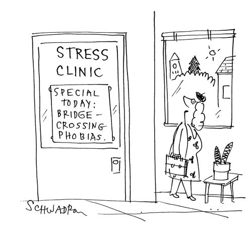 Stress Clinic - Special Today: Bridge-Crossing Phobias.