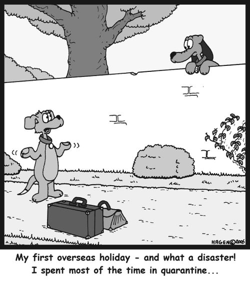 'My first overseas holiday - and what a disaster! I spent most of the time in quarantine...